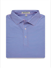 Load image into Gallery viewer, Del Mar Stripe Polo
